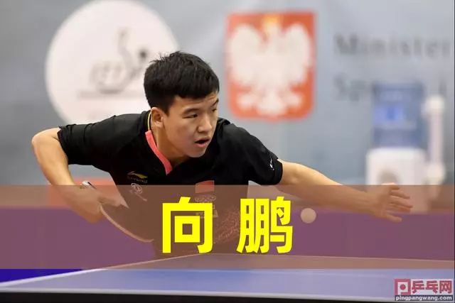 策略碰撞的 策略碰撞的